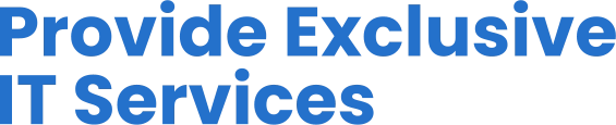 Provide Exclusive IT Services